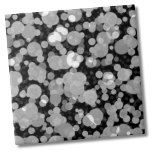 Azulejo Círculos blancos negros modernos y pequeños Patrón<br><div class="desc">Moderno Funky Círculos Blancos Negros Polka Dot Pattern Tile Cerámico. ¡A todo el mundo le encanta el patrón de los puntos de polka! ¡Este tiene una burbuja o luces mirando! Si quieres usar esta baldosa como una pequeña montaña o un trívet para una bebida o un plato.. o quieres ir...</div>