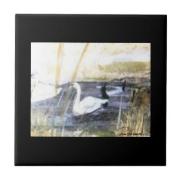 Azulejo Cisne pacífico. ... ...