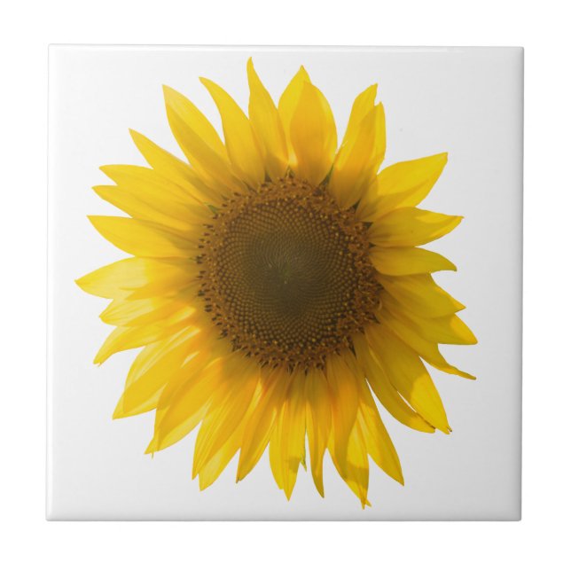 Azulejo Cita de girasol "las flores son felicidad" (Frente)
