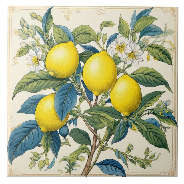 Azulejo Citrus de verano mediterráneo de Lemons (Frente)