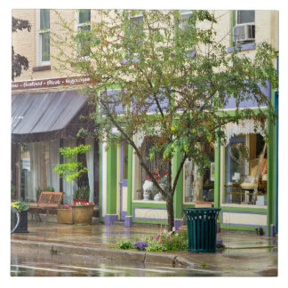Azulejo Ciudad - Owego NY - En un día lluvioso