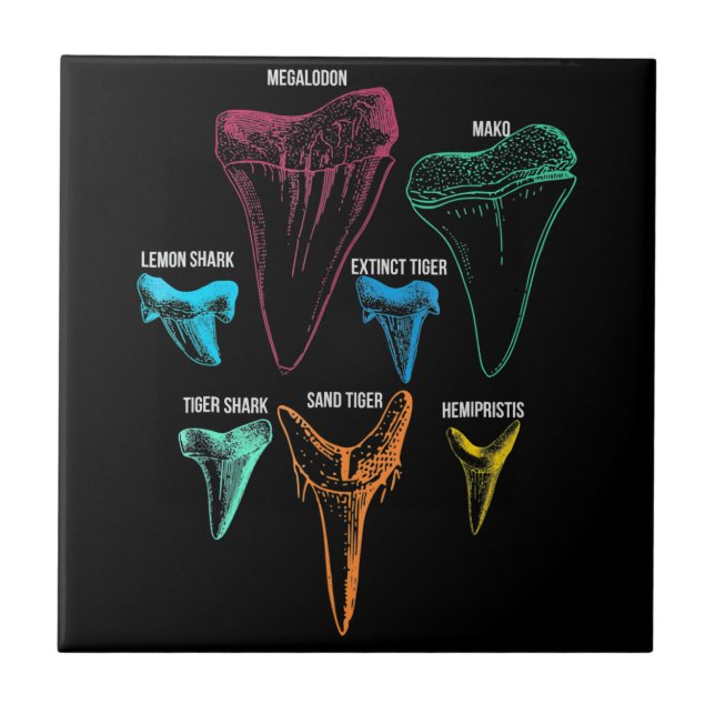 Azulejo Clave de identidad de caza de dientes de tiburón (Frente)