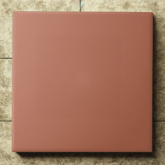 Azulejo Clay #b66a50 – Warm, Mellow, Natural Orange