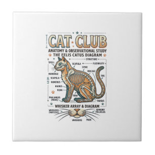Azulejo Club de Gatos Anatomía de Gato Diagrama Científico
