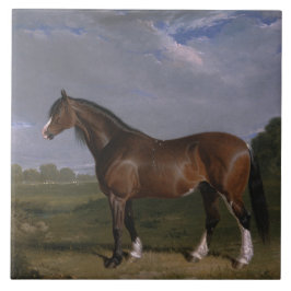 Azulejo Clydesdale Stallion (Caballo tostado) (Animal)