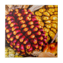 Azulejo Coberturas de maíz