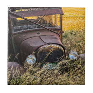 Azulejo Coche viejo abandonado en hierba alta
