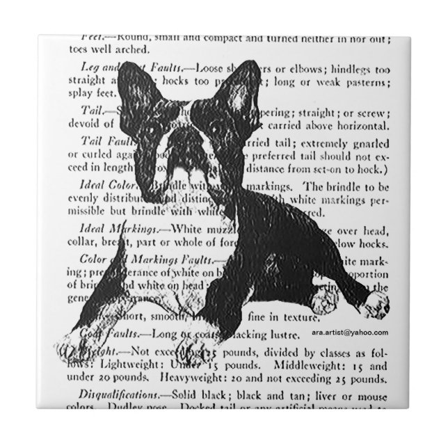 AZULEJO COCINA BOSTONBULL DE REGALO DE 20 DÓLARES (Frente)