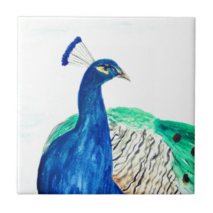 Azulejo Cocina de aves acuáticas con pinturas de pavo real