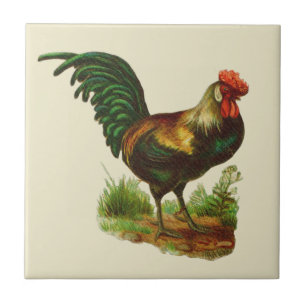 Azulejo Cocina de Campo Gallo