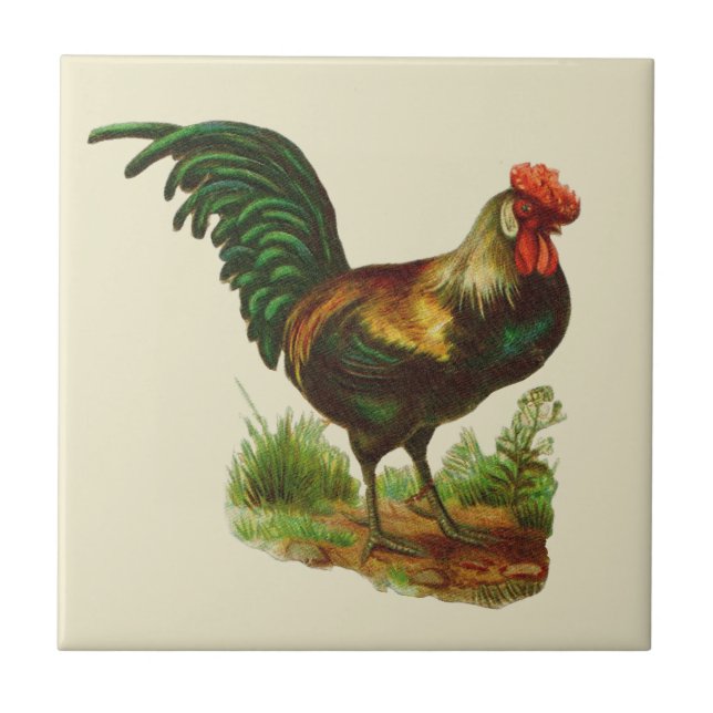 Azulejo Cocina de Campo Gallo (Frente)