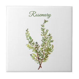 Azulejo Cocina vegetal Rosemary Herb moda verde culinaria