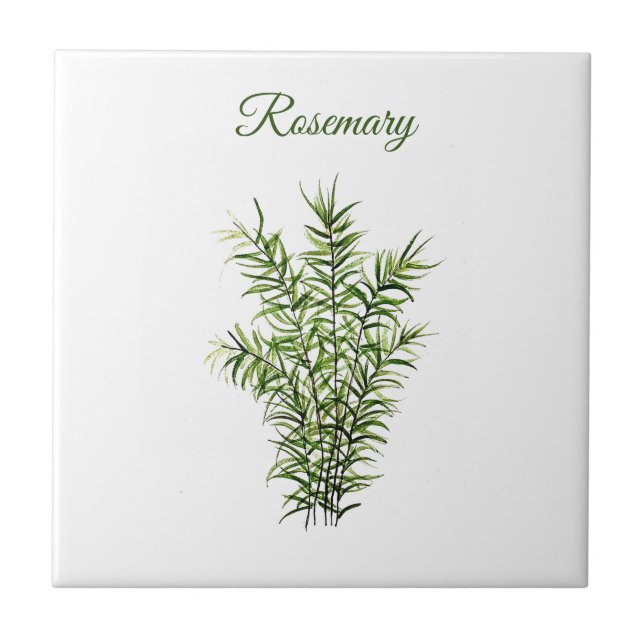 Azulejo Cocina vegetal Rosemary Herb moda verde culinaria (Frente)