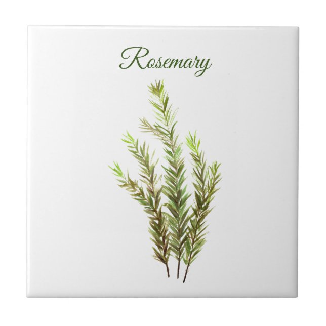Azulejo Cocina vegetal Rosemary Herb moda verde culinaria (Frente)