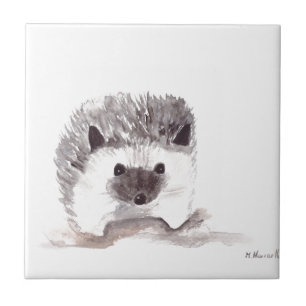 Azulejo cocina vintage rústica de baby hedgehog