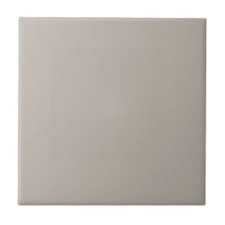 Azulejo Cocina y cuarto de baño Gris Requiere