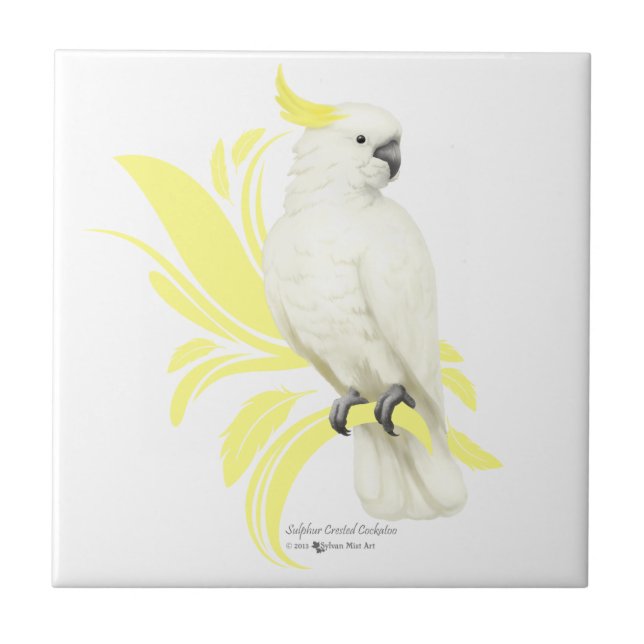 Azulejo Cockatoo con crema de azufre (Frente)
