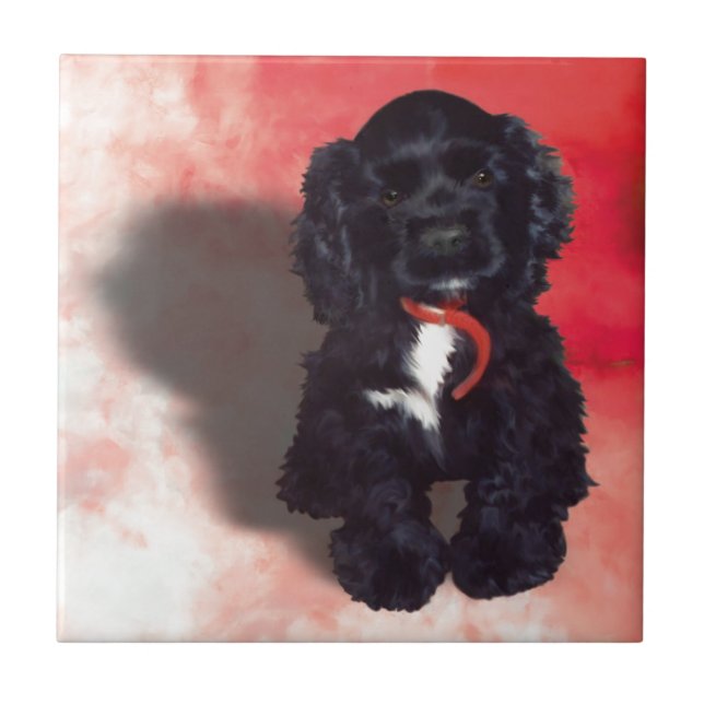 Azulejo Cocker negro español pipa - Abby (Frente)