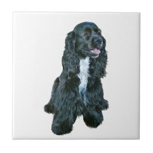 Azulejo Cocker Spaniel - Negro #2
