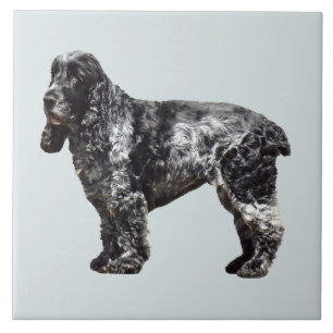 Azulejo Cocker Spaniel negro y gris