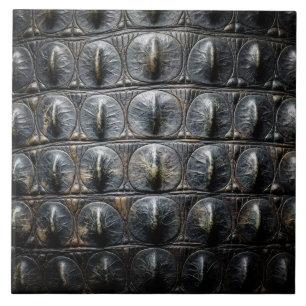 Azulejo cocodrilo animal piel textura naturaleza escama sa