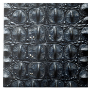 Azulejo cocodrilo animal piel textura naturaleza escama sa