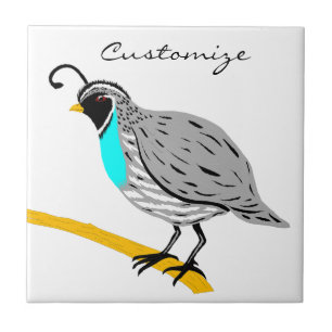 Azulejo Codorniz Bobwhite de garganta azul Thunder_Cove