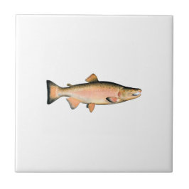 Azulejo Coho - salmones de plata (que frezan fase)