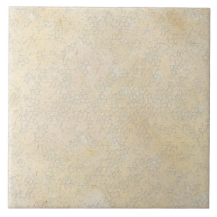 Azulejo Cojín de gallos vintage Tan con chispas texturadas