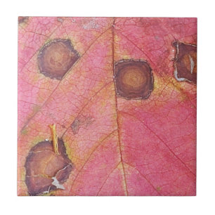 Azulejo Cojín decorativo de hojas de otoño rojas marrón