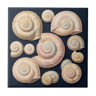 Azulejo Colección de conchas de caracol beige rosa náutico