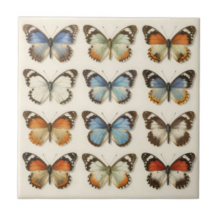 Azulejo Colección de Especímenes de Mariposas Antiguas