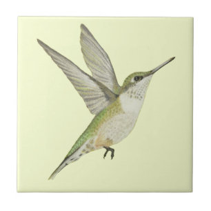 Azulejo Colibrí