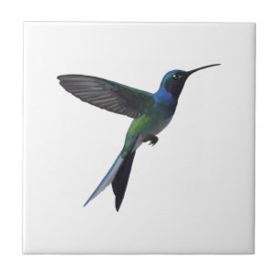 Azulejo Colibrí