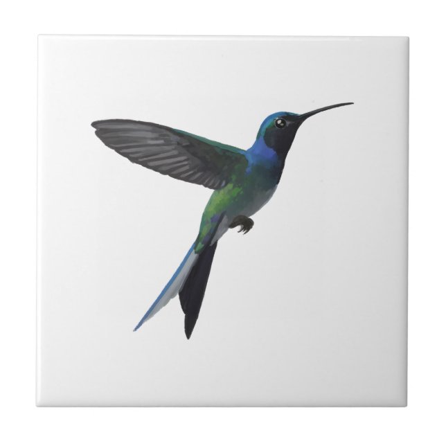 Azulejo Colibrí (Frente)
