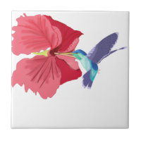 Colibrí azul y verde
