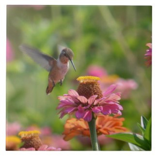 Azulejo Colibrí con Zinnias