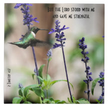 Colibrí en flor con versículo de escritura