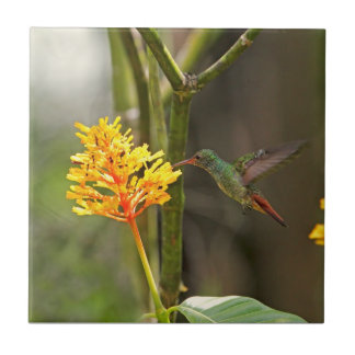 Azulejo Colibrí y flor tropicales