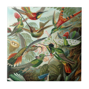 Azulejo Colibríes por Ernst Haeckel, Árboles de pájaros vi
