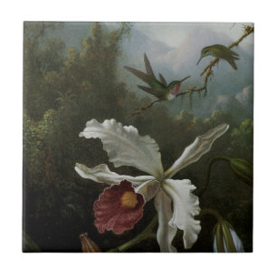 Azulejo Colibríes y Orquídea Blanca por Martin J. Heade