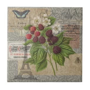 Azulejo Collage de Arte de Ephemera Francés de Moras Vinta