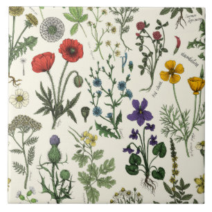 Azulejo Collage de flores silvestres