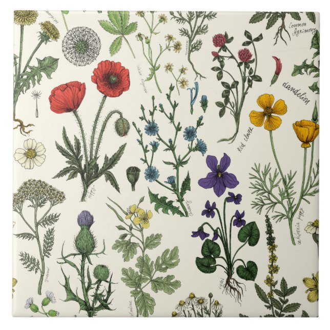 Azulejo Collage de flores silvestres (Frente)