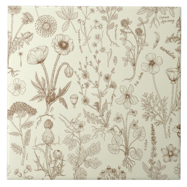 Azulejo Collage de flores silvestres/ beige y sepia (Frente)
