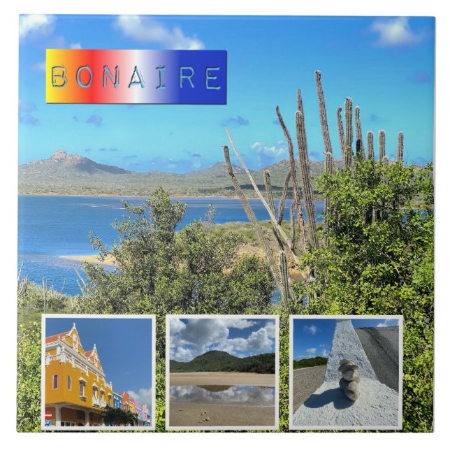 Azulejo Collage de fotos Bonaire (Frente)