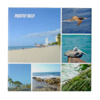 Collage natural de San Juan, Puerto Rico