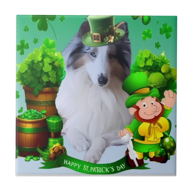 Azulejo Collie áspero con factor blanco y cabeza merle (Frente)