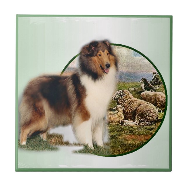 Azulejo Collie Keeper de la oveja (Frente)