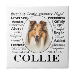 Azulejo Collie Traits